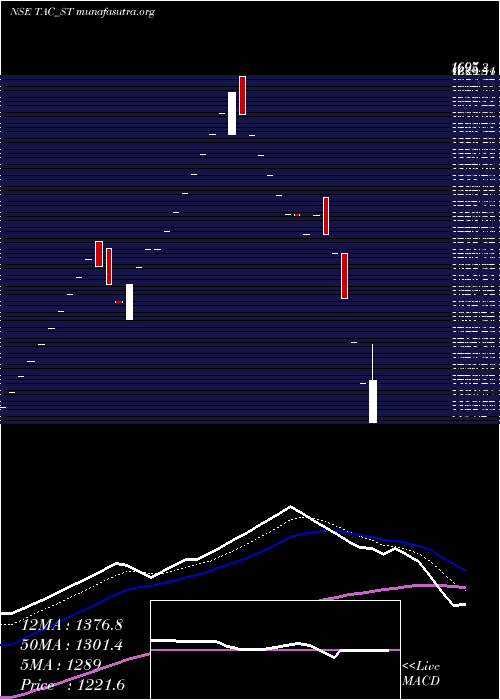  Daily chart TacInfosec