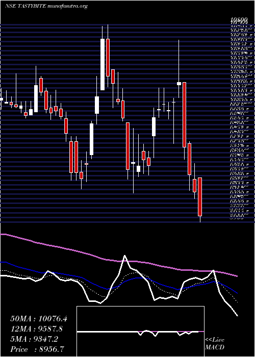  Daily chart TastyBite