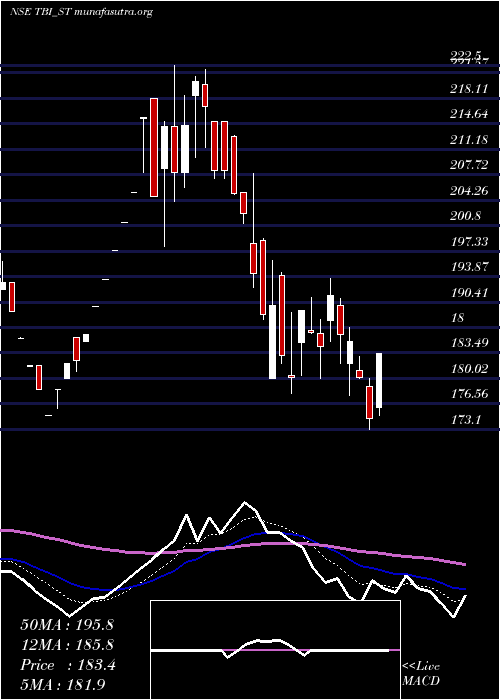  Daily chart TbiCorn