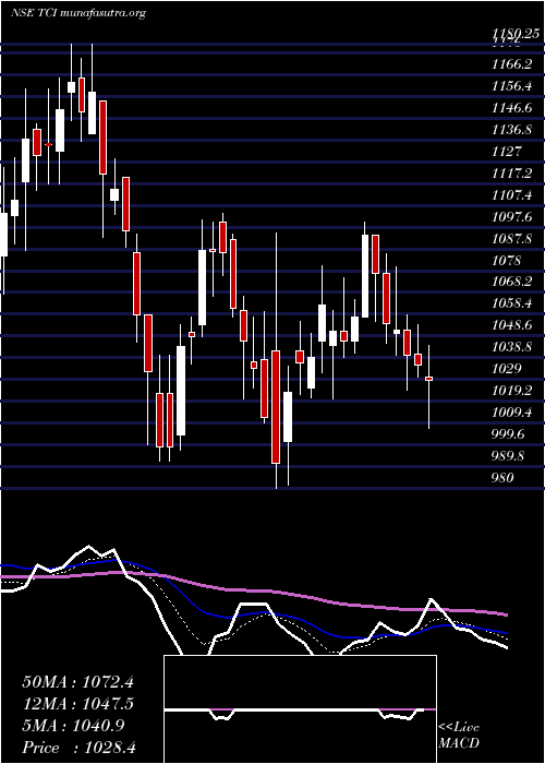  Daily chart TransportCorporation