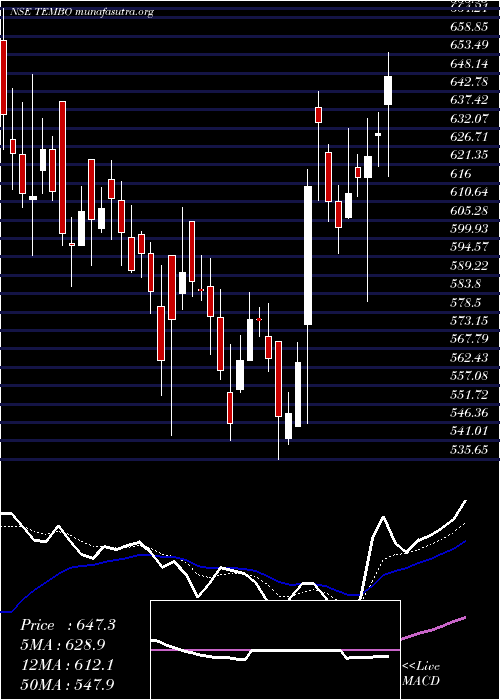  Daily chart TemboGlobal
