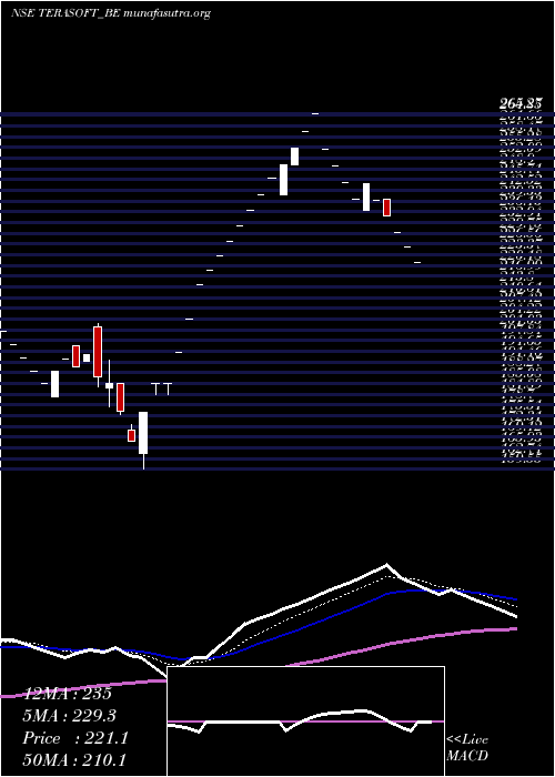  Daily chart TeraSoftware