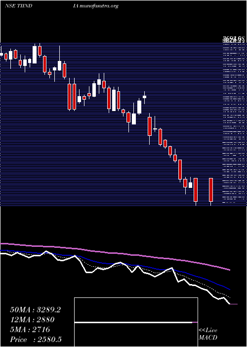  Daily chart TubeInvest