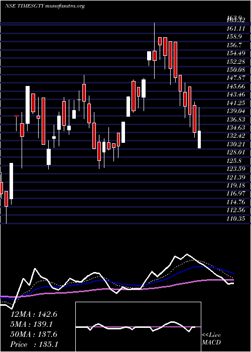  Daily chart TimesGuaranty