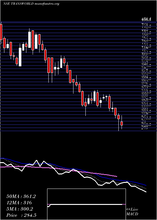  Daily chart TransworldShip