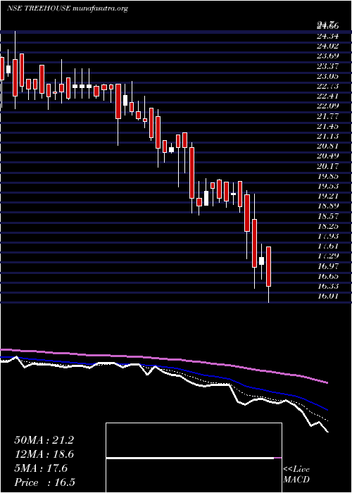  Daily chart TreeHouse