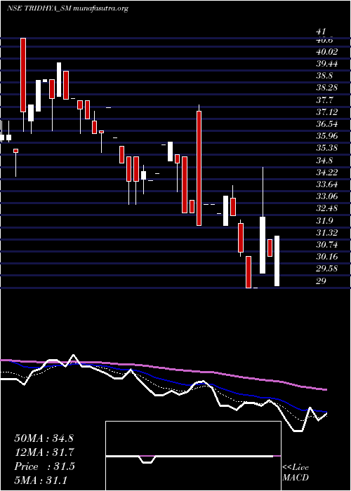  Daily chart TridhyaTech