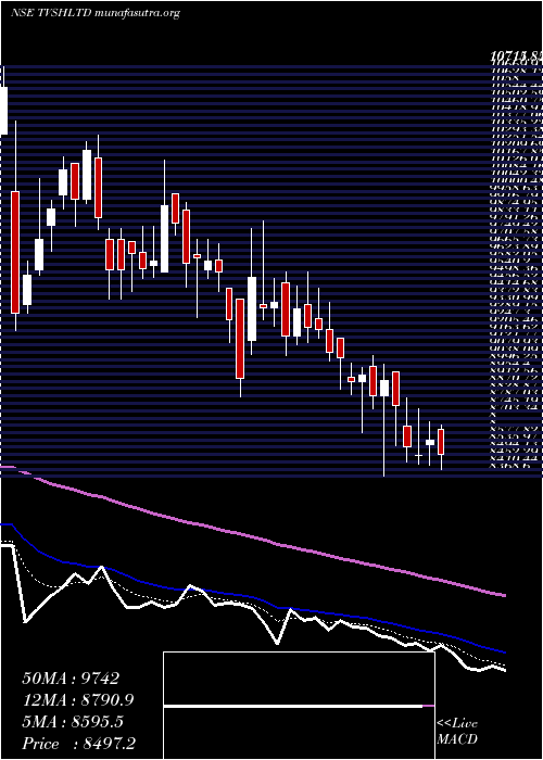  Daily chart TvsHoldings