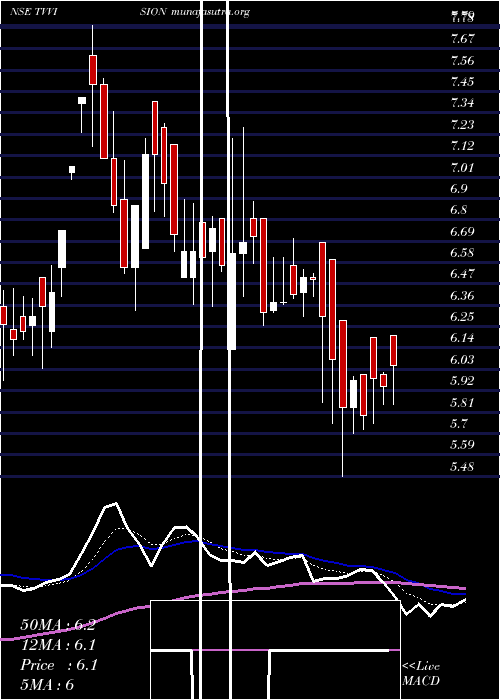  Daily chart TvVision
