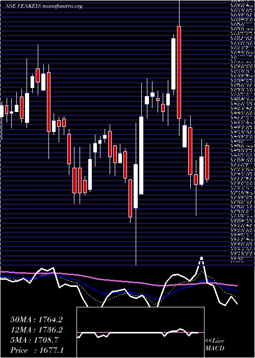  Daily chart VenkyS