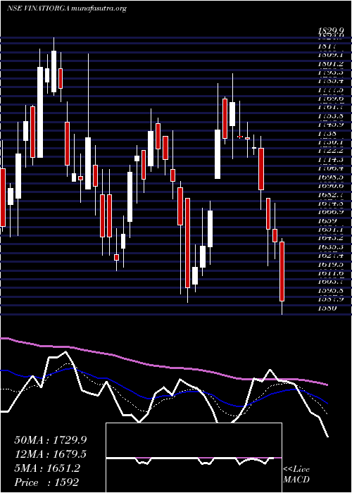  Daily chart VinatiOrganics