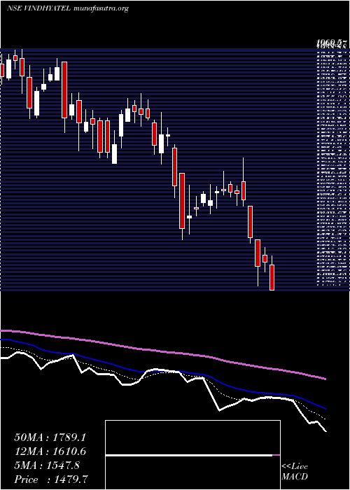  Daily chart VindhyaTelelinks