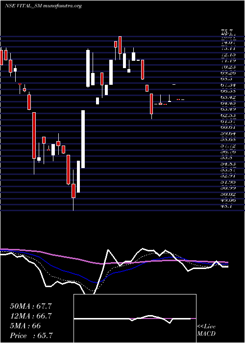  Daily chart VitalChemtech