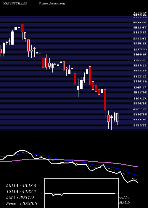  Daily chart VS