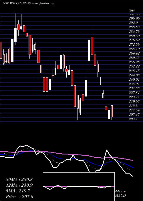  Daily chart WalchandnagarIndustries