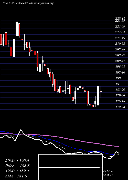  Daily chart WalchandnagarIndustries