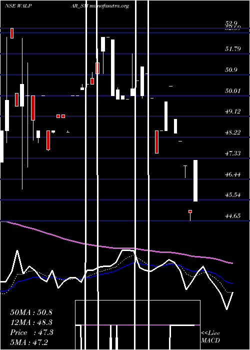  Daily chart WalparNutritions