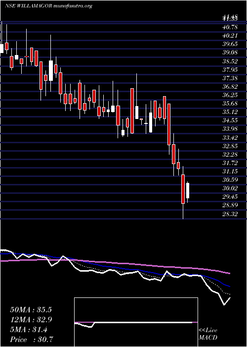  Daily chart WilliamsonMagor