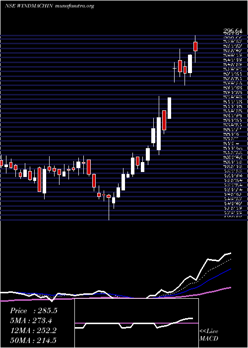  Daily chart WindsorMachines