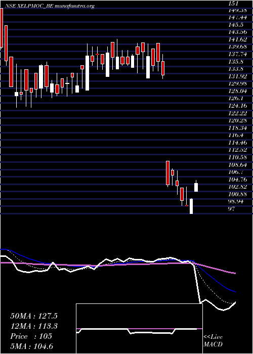  Daily chart XelpmocDesign