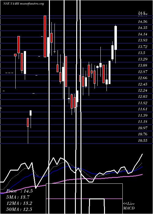  Daily chart YaariDigi