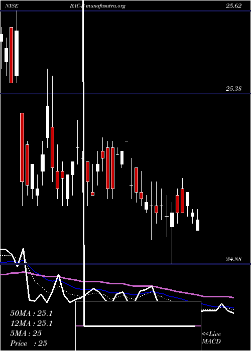  Daily chart BankAmerica