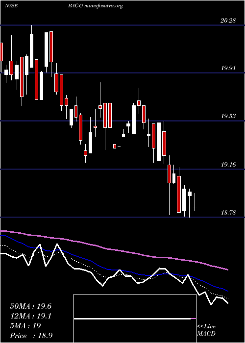  Daily chart BankAmerica