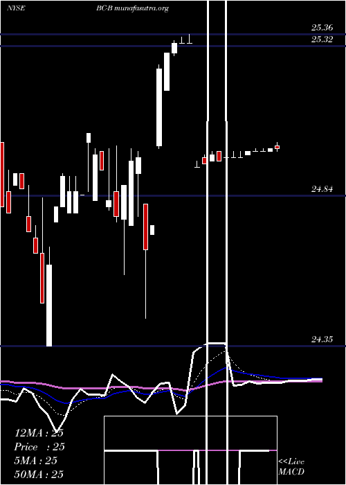  Daily chart BrunswickCorp