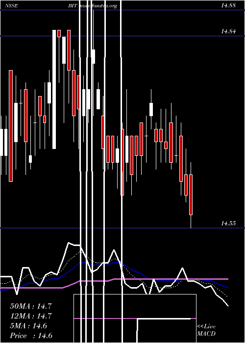  Daily chart BlackrockMulti