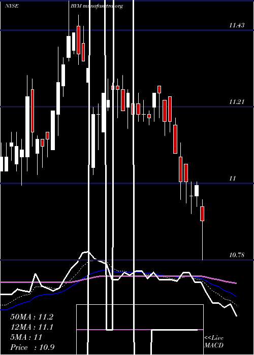  Daily chart BlackrockMunicipal