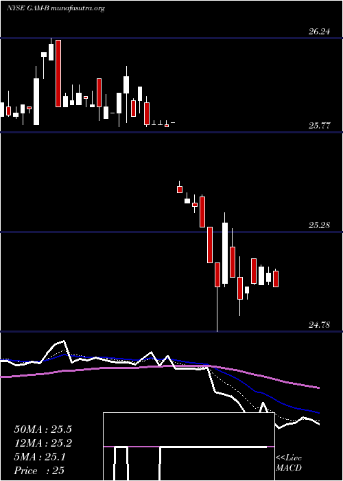  Daily chart GenlAmer