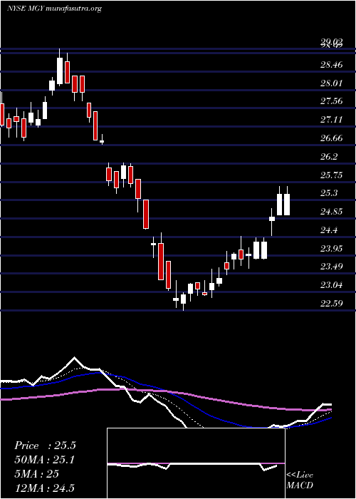  Daily chart MagnoliaOil