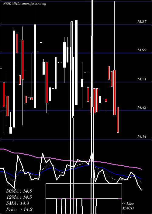  Daily chart MaidenHoldings