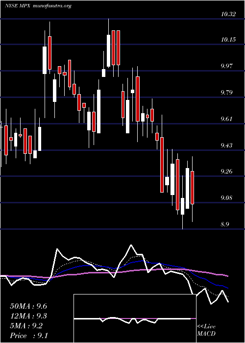  Daily chart MarineProducts