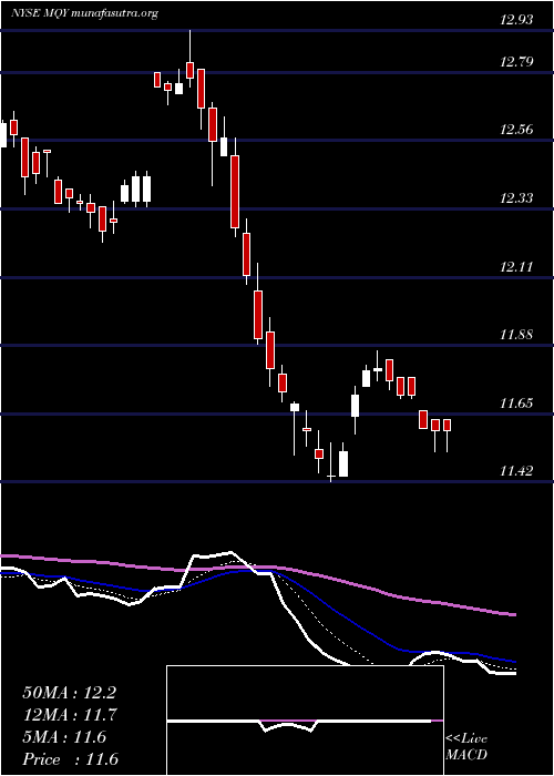  Daily chart BlackrockMuniyield