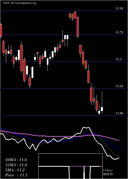  Daily chart NuveenAmt