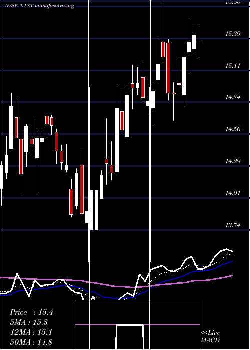  Daily chart NetstreitCorp