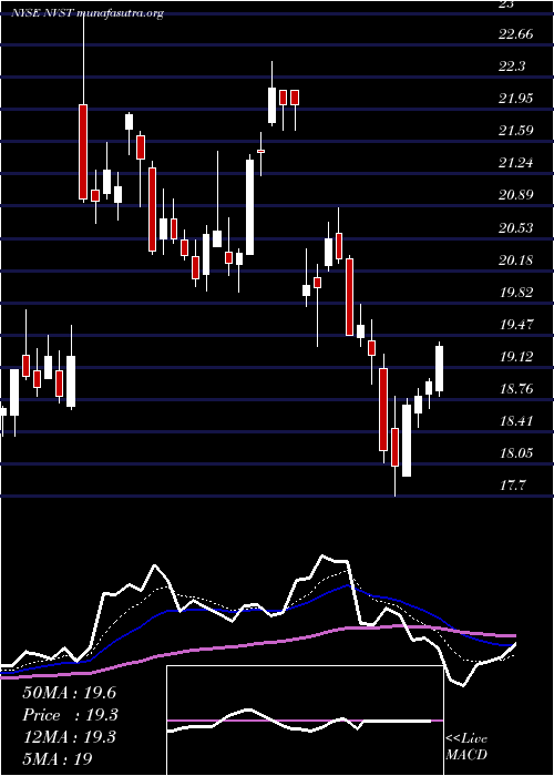  Daily chart EnvistaHoldings