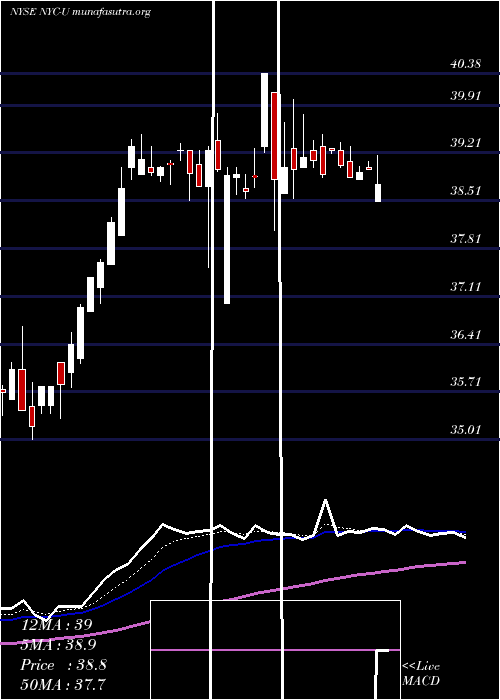  Daily chart NewYork