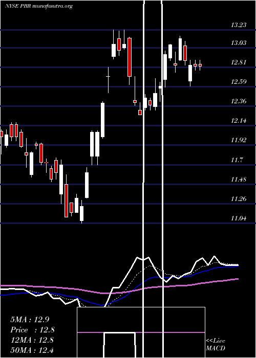  Daily chart PetroleoBrasileiro