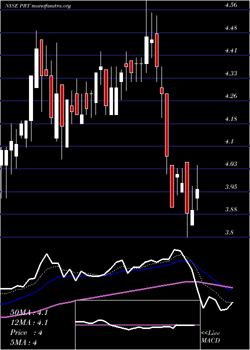  Daily chart PermrockRoyalty