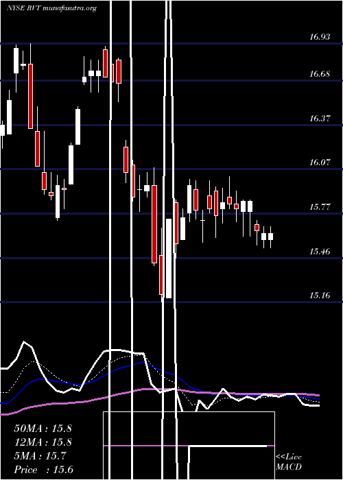  Daily chart RoyceValue