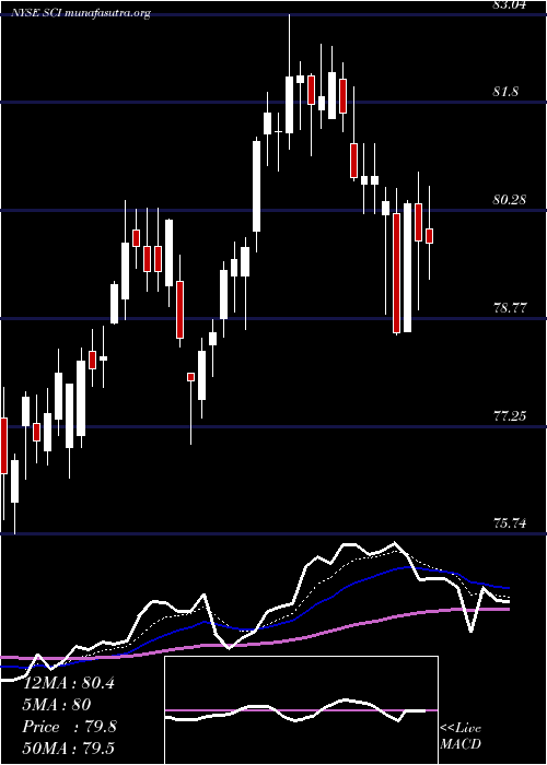  Daily chart ServiceCorporation