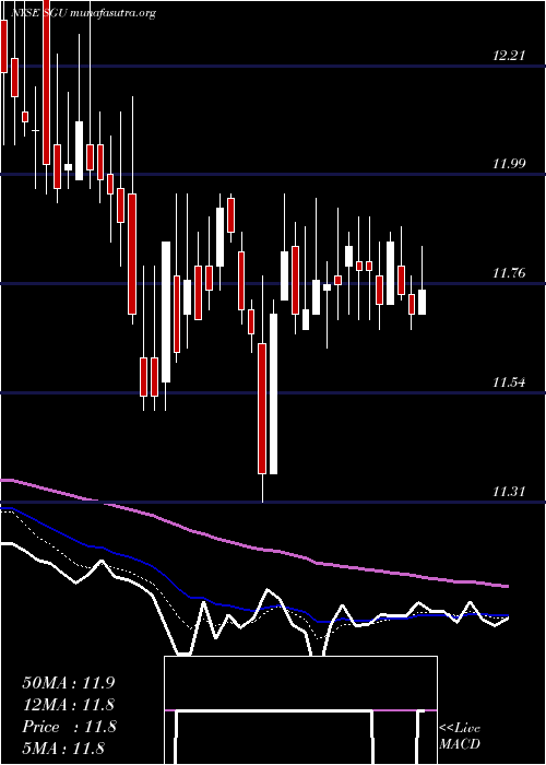  Daily chart StarGroup