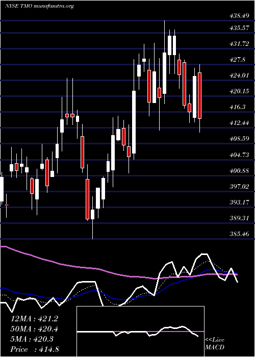  Daily chart ThermoFisher
