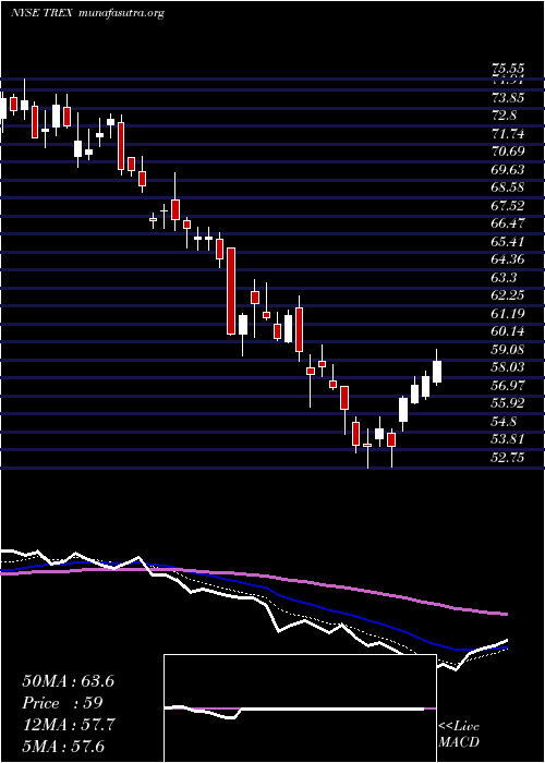  Daily chart TrexCompany