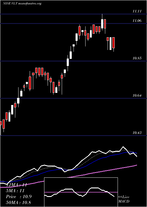  Daily chart InvescoHigh