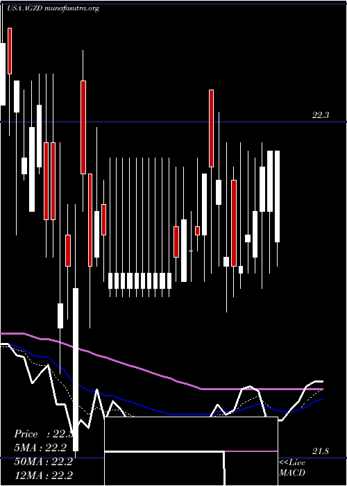  Daily chart WisdomtreeInterest