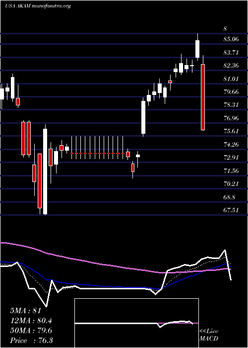  Daily chart AkamaiTechnologies