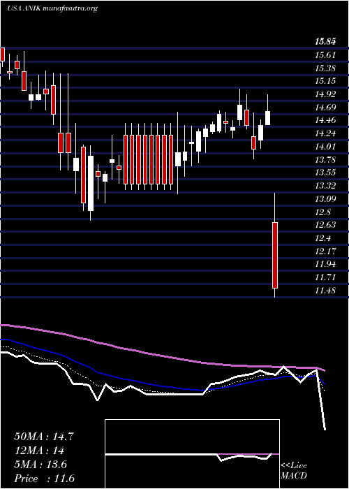  Daily chart AnikaTherapeutics